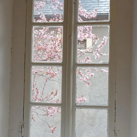Auberge de jeunesse Baqueira - Refugi Rosta - Pyrenmuseu *